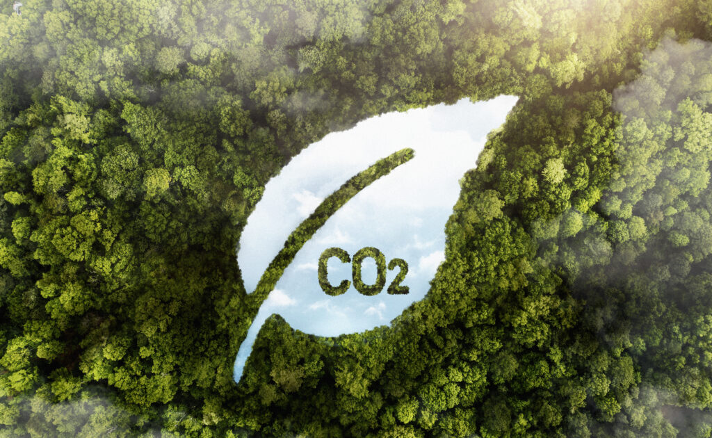 bilan carbonne co2